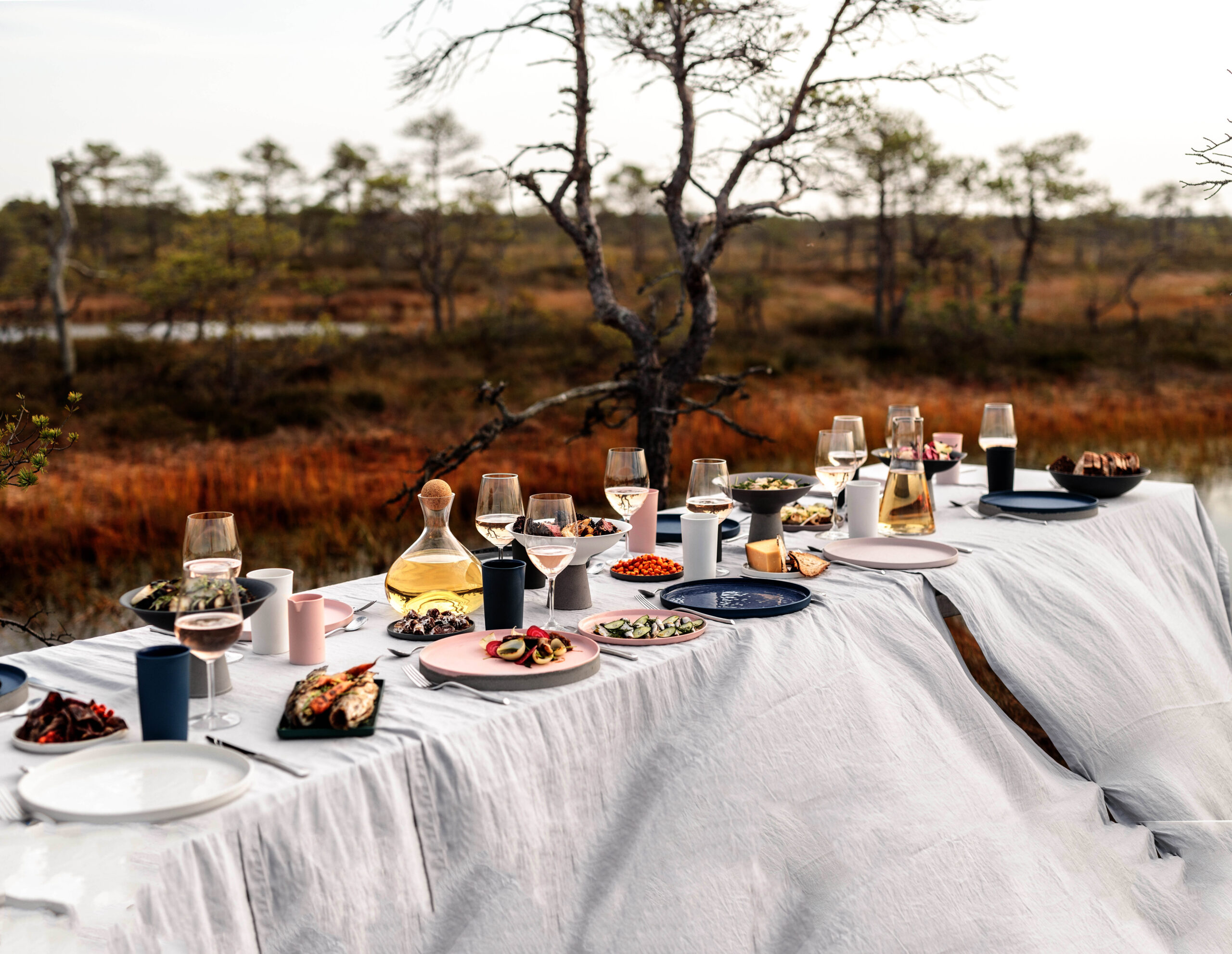 eesti veinitee_2435_Dinner in the bog_Renee Altrov_8945481_2