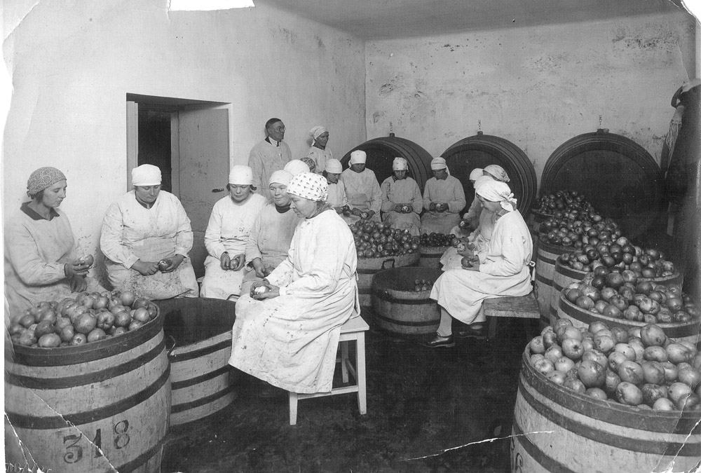Lühike ülevaade Eesti veinitootmise pikast ajaloost
