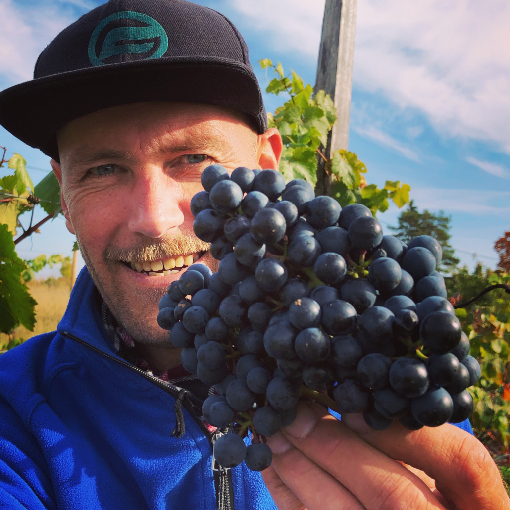 Eesti-veinitee-MuhuVeinitalu_Peke_Rondo